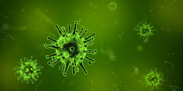 Hương Giang phát hiện virus lấy mẫu thử nghiệm ống thông báo, chuyên nghiệp và dễ dàng, làm cho cuộc sống tốt đẹp hơn